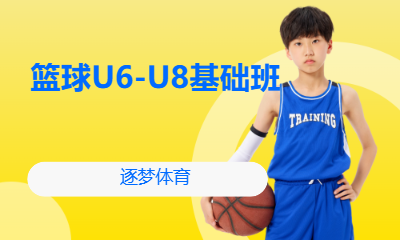 篮球U6-U8基础班